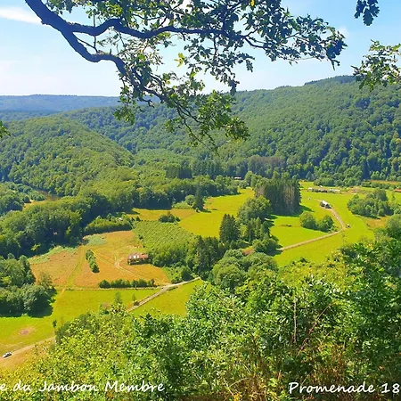 シャレー Agathe ラフォレ